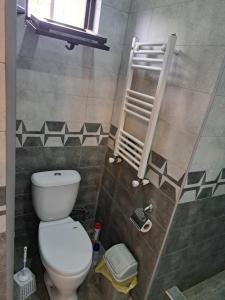 ein Bad mit einem weißen WC in einem Zimmer in der Unterkunft Niki in Mzcheta