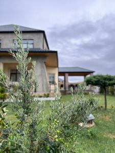 uma casa com uma árvore em frente a uma casa em Villa SM em Baku