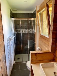 La salle de bains est pourvue d'une douche, de toilettes et d'un lavabo. dans l'établissement Le Chalet, à La Meilleraie-Tillay