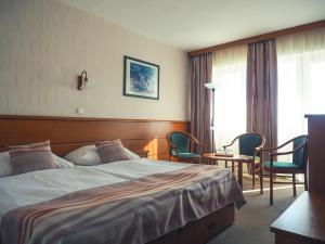 una camera d'albergo con letto, tavolo e sedie di Hotel Panoráma a Balatongyörök