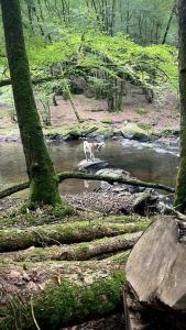 Paesaggio naturale nelle vicinanze della casa vacanze