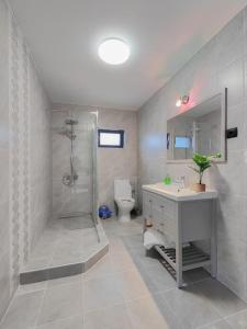 Vila MOON في Bezdead: حمام مع دش ومغسلة ومرحاض