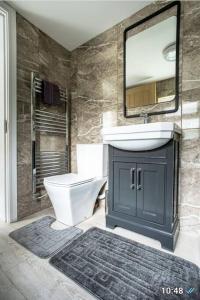 a bathroom with a sink and a toilet and a mirror at Cosy Cruise Cribs Ltd in Stoke on Trent