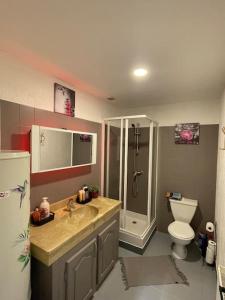 a bathroom with a sink and a toilet and a shower at Le Brumby - Internet Netflix draps serviettes café in Joigny