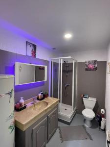 a bathroom with a sink and a shower and a toilet at Le Brumby - Internet Netflix draps serviettes café in Joigny