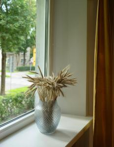 a vase sitting on a window sill with a plant at Showroom Central Apartment in Šiauliai