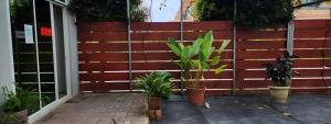 Fotografie z fotogalerie ubytování Grapevine Garden v destinaci Kota Kinabalu