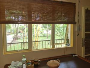 a kitchen window with a view of a yard at Mekong Delta Ricefield Lodge in Can Tho