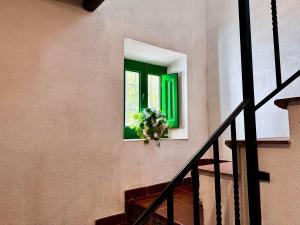 a staircase with a green window and a potted plant at Encantador Cortijo La Emiliana a 5 minutos del centro in Churriana de la Vega
