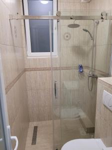 Un baño con ducha de cristal con inodoro. en David INN, en Băile Felix