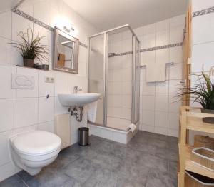 a bathroom with a toilet and a sink and a shower at Haus am Meer 63 in Kaltenhof