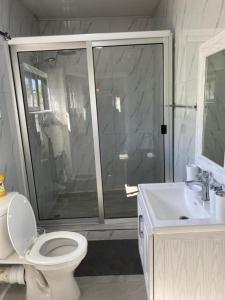 a bathroom with a shower and a toilet and a sink at Swiss Luxury Apartments in Ndola