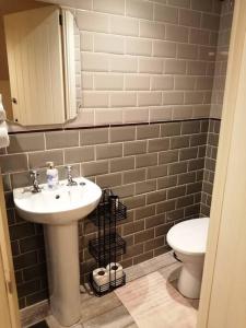 a bathroom with a sink and a toilet at 1 Bed cottage The Stable at Llanrhidian Gower with sofa bed for additional guests in Swansea