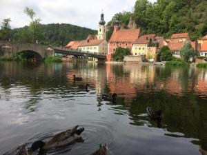 a group of ducks swimming in a river near a town at Ferienwohnung Kallmünz_Luftschloss in Kallmünz