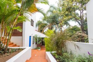 a courtyard of a house with palm trees at The Blue Door B&B in East London