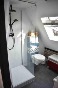 a bathroom with a toilet and a glass shower at Charmant Studio au Cœur de Béthune in Béthune