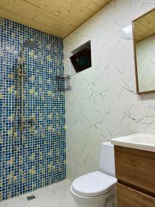 W łazience znajduje się prysznic, toaleta i umywalka. w obiekcie WoodStar w mieście Ambrolauri
