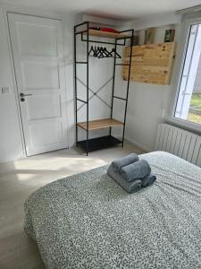 ein Schlafzimmer mit einem Bett und einer Leiter und einem Regal in der Unterkunft T2 calme et cozy, proche transports in Aulnay-sous-Bois
