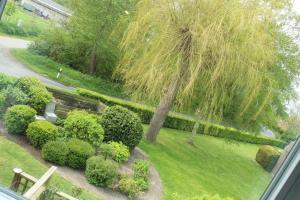 vista su un giardino con albero e cespugli di Ferienwohnung *De ole School* mit Sauna! a Fehmarn