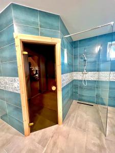 a bathroom with a shower and a glass door at Vila Scandinavia in Sângeorgiu de Mureș