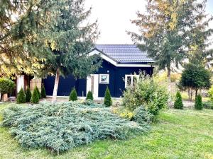 ein blaues Haus mit Bäumen davor in der Unterkunft Vila Scandinavia in Sîngeorgiu de Mureş