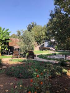 a park with benches and a pond with flowers at Tiny house kayaköy kumquat in Kayakoy
