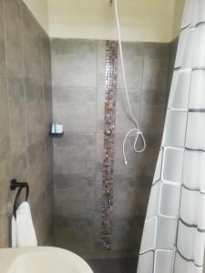 y baño con ducha, aseo y cortina de ducha. en Casa nostra, en Kakamega