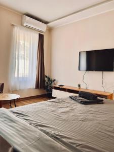 贝尔格莱德Dani Lux Belgrade Center Studio Apartment的一间卧室，里面有一张床和一台平板电视 更多17张照片