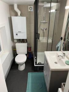 une salle de bain avec toilettes, douche et lavabo dans l'établissement Duplex avec parking à 100m de la mer, à La Panne