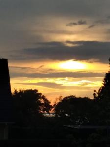 Sonnenuntergang mit Sonnenuntergang hinter einigen Bäumen in der Unterkunft Ferienwohnung Stockrose in Lohme
