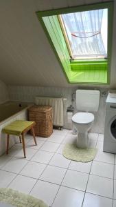 a bathroom with a toilet and a green window at Ferienwohnung Stockrose in Lohme