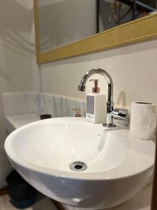 布魯馬迪紐的住宿－Villa Rica Pousada Boutique，浴室设有白色水槽和镜子