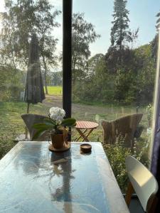 einen Tisch mit einer Vase Blumen auf einem Fenster in der Unterkunft Compleet Vakantie verblijf Marke Lemselo 80m2 in Weerselo