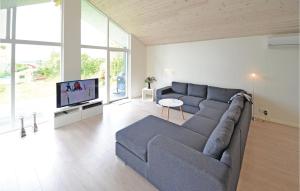HjarbækにあるBeautiful Home In Lgstrup With 4 Bedrooms And Wifiのリビングルーム(ソファ、テレビ付)