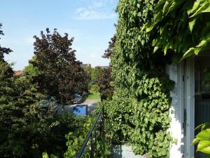 a view from a balcony of a house with plants at Im Efeu in Großniedesheim +2 photos