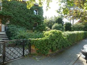 a ivy covered fence in front of a house at Im Efeu 