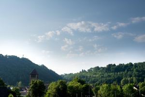 Blick auf einen Berg mit einem Turm und Bäumen in der Unterkunft KELLER APARTMENT in Sulz am Neckar