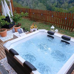 una gran bañera de hidromasaje en un patio trasero con plantas en B&B TERRA DI COLLINA, en Vigliano d'Asti