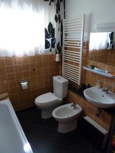 a bathroom with a toilet and a sink at Im Efeu in Großniedesheim