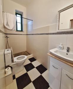 a bathroom with a toilet and a sink at Apartmán Nad hradem in Týnec nad Sázavou