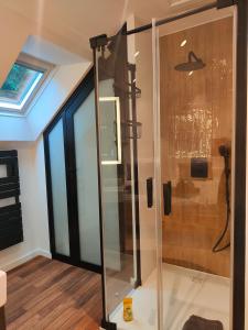 a glass shower in a room with a ceiling at Tannerie 4 in Lanvallay