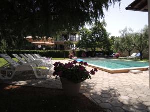 una piscina con tumbonas y una maceta en el patio en Melisa 5, en Poreč