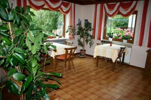 Habitación con mesa, sillas y plantas. en Villa Winkler, en Annenheim