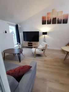 ein Wohnzimmer mit Sofa und Fernseher in der Unterkunft 4 pièces centre-ville Bourg-en-Bresse in Bourg-en-Bresse
