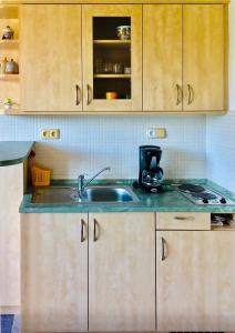 una cucina con armadi in legno e lavandino di Apartments in Harrachov/Riesengebirge 2300 a Harrachov
