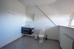 a bathroom with a white toilet and a sink at Storkesøen Ribe Holiday Cottages and Apartments in Ribe