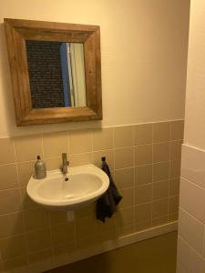 a bathroom with a sink and a mirror at Bed & Breakfast Ytsma State in Follega