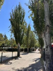 une rue bordée d'arbres avec une clôture et des arbres dans l'établissement Bungalows Alpha, à Getafe