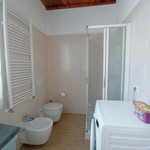 ein Bad mit einem WC, einer Dusche und einem Waschbecken in der Unterkunft Agriturismo Trabucco in Casale sul Sile