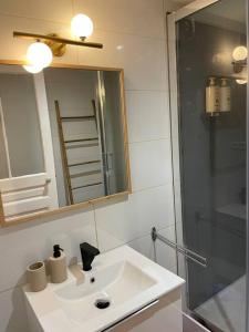 La salle de bains est pourvue d'un lavabo, d'un miroir et d'une douche. dans l'établissement La Grande Dame - T4 - Clim, à Perpignan